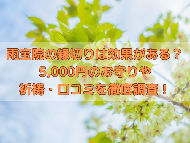 雨宝院の記事のアイキャッチ画像
