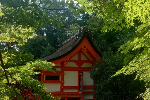 出雲大神宮本殿の画像