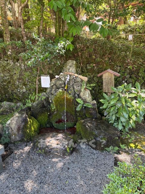 出雲大神宮真名井の水汲み場の画像
