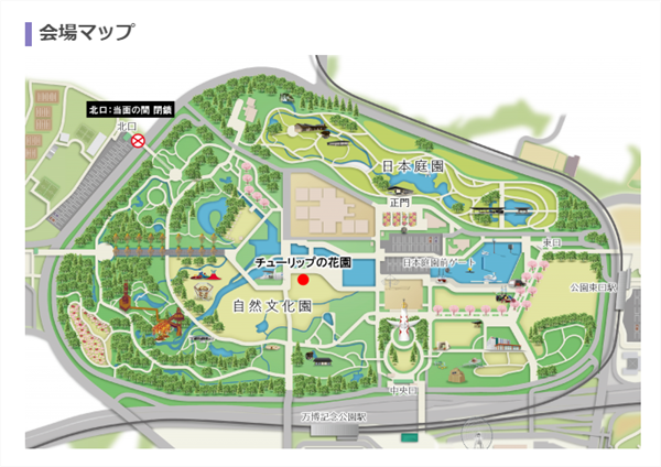 万博記念公園ひまわりフェスタ会場の画像