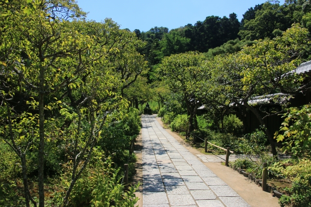東慶寺の境内の画像